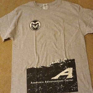 Gray university t-shirt with black/white design